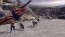 Cabela’s Survival: Shadows of Katmai   Xbox 360 rabljena_4
