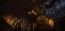 Dragon's Dogma: Dark Arisen  Xbox 360 rabljena_4