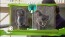 National Geographic TV rabljena Xbox 360 kinect_3